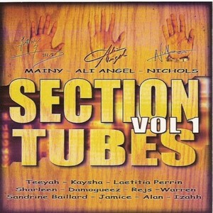 Section Tubes Zouk Vol. 1