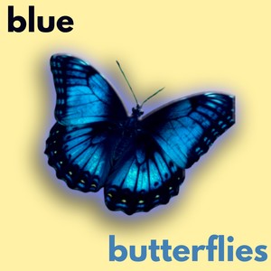 Blue Butterflies