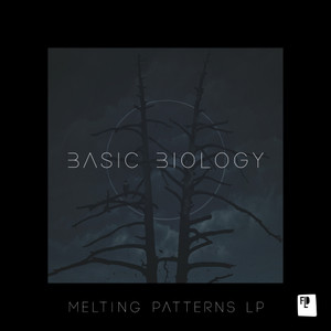 Melting Patterns LP