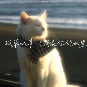 孤单心事(我在你的心里)