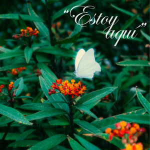 Estoy Aquí