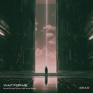 Wait for Me (Efe Aysal Remix)
