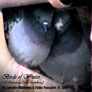 Birds of Winter(a Streaming Light Symphony)