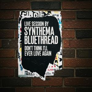 Dont Think I'll Ever Love Again