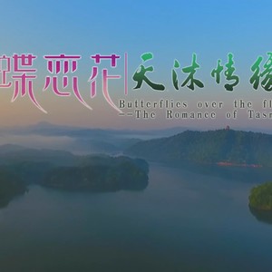 蝶恋花