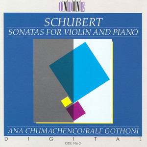 Violin Sonata (Sonatina) in A Minor, Op. 137, No. 2, D. 385 - I. Allegro moderato