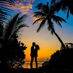 TO MY LADY (Explicit)