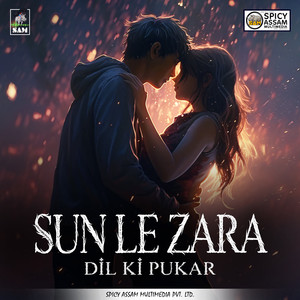 Sun Le Zara (From Dil Ki Pukar)