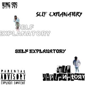 SELF  EXPANATORY (Explicit)