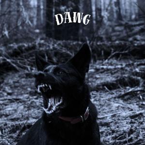 DAWG (Explicit)