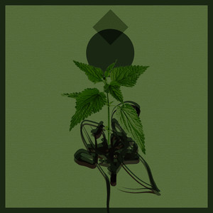 Delusion March (Original Mix)