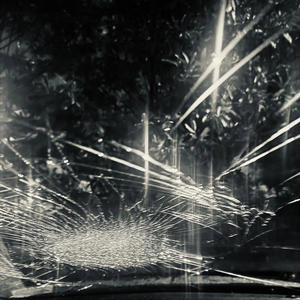 Gangstalicious (Explicit)