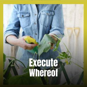 Execute Whereof