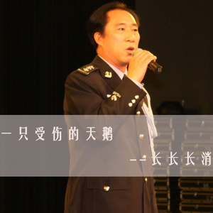 一只受伤的天鹅 (伴奏)