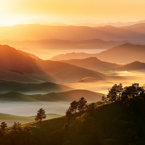 Slow Mornings In Soft Light