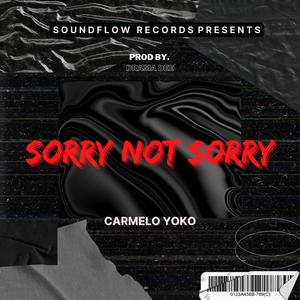 Sorry Not Sorry (Explicit)