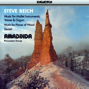 Reich: Music for Mallet Instruments, Voices and Organ / Music for Pieces of Wood / Sextet