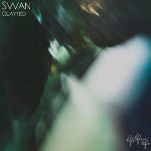 Swan