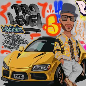 Pro Level(feat. Anime phd, Scizzorhands, Two6SevenBeats & phd hip hop nz) (Explicit)