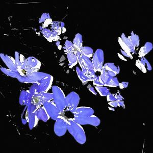 last chance (feat. mint & inssekt|Explicit)