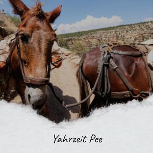 Yahrzeit Pee