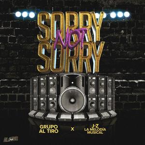 Sorry Not Sorry (feat. J-Z La Melodia Musical) [Explicit]