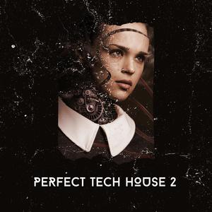 Perfect Tech House, Vol. 2 (Explicit)