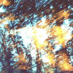 Fall in Love