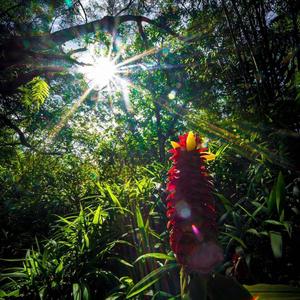 Mike Carr - Fresh Off Work