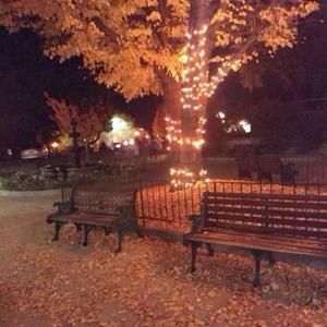 i was once in love in october