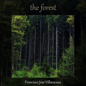 The Forest