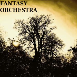 Fantasy Orchestra