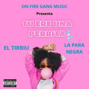 TU ERE UNA PERRITA (feat. La Para Negra & EL Tirriu) [Explicit]