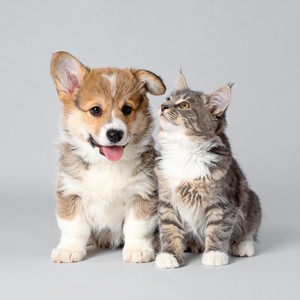 El Suave Tirón De La Mirada De Tu Amigo