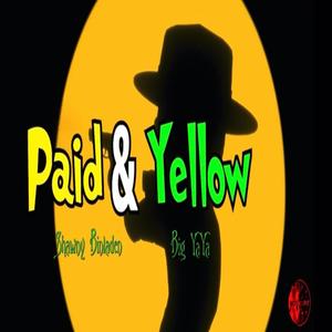 Paid N Yellow(feat. Shawny Binladen & Big YAYA) (Explicit)