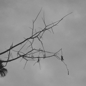 IN OR OUT? (Explicit)