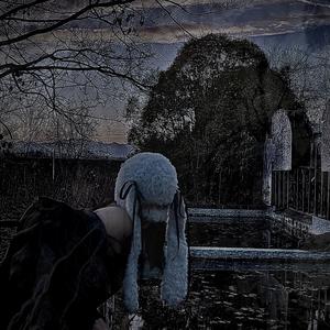 Nicotina e Alcolici (feat. Psicotino) (Explicit)