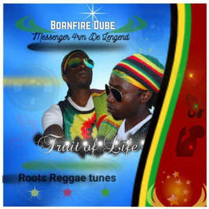 Reggae Rocking In Africa