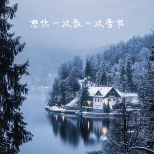 想你一次就飘一朵雪花 (烟嗓版)
