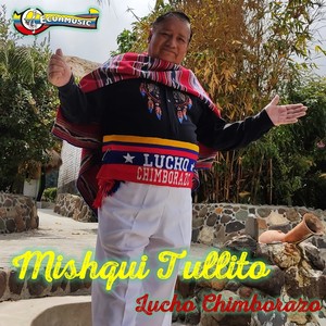 Mishqui Tullito