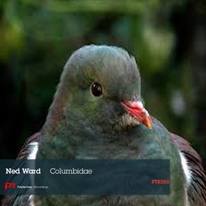 Columbidae