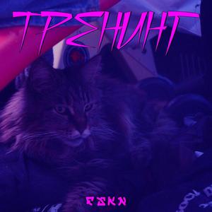 Тренинг (Explicit)