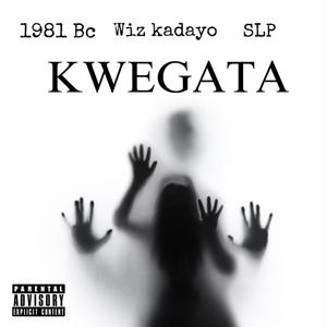 Kwegata (feat. Wiz Kadayo & S L P) (Explicit)