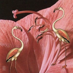 Small Flocks