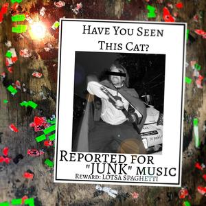 Have You Seen This Cat? (Explicit)