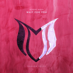 Wait For You (Original Mix)