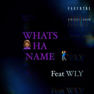WHATS HA NAME (feat. WLY) (Explicit)