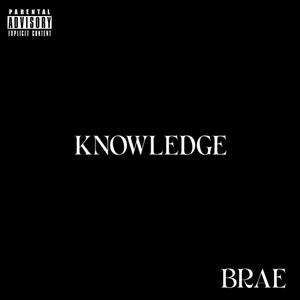 Knowledge (Explicit)