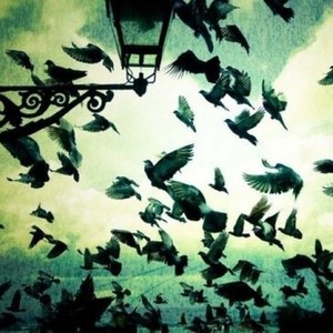 Our Flags Wave And Our Arms Are Around Another's Shoulders