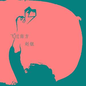 飞过南方